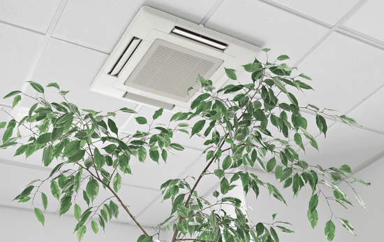 Air-purification-system-enhancing-indoor-air-in-Fergus-Ontario-home-LG-Home-Comfort