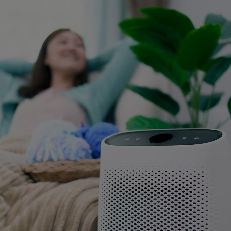 Reduce allergens in Sudbury homes with LG Home Comfort’s air purification systems