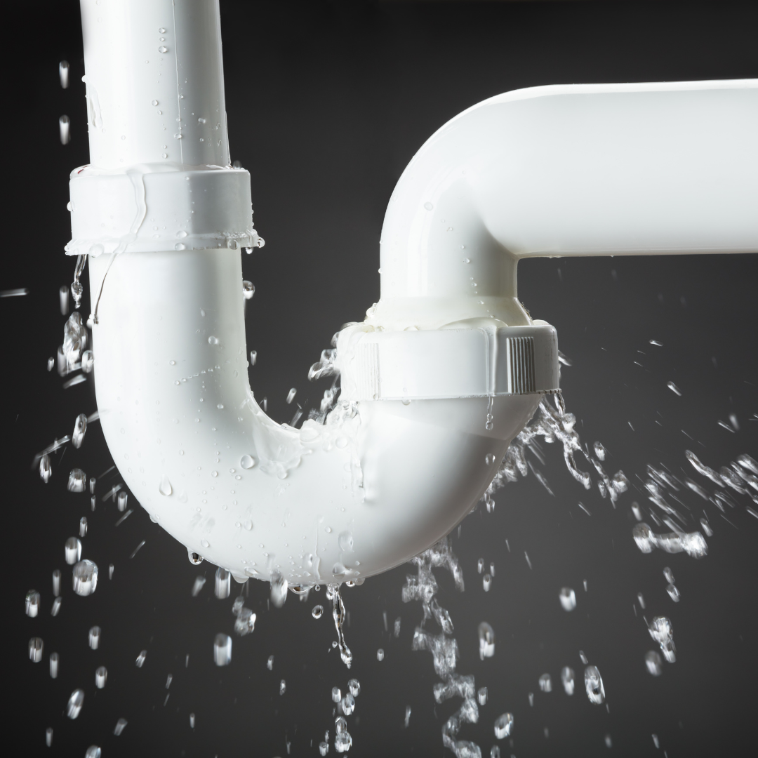 Clean Up Like A Champ - LG Home Comfort